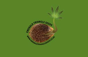 Emerald Triangle