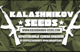 Kalashnikov Seeds