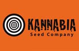 Kannabia