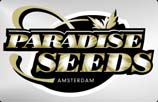 Paradise Seeds