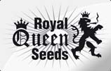 Royal Queen Seeds