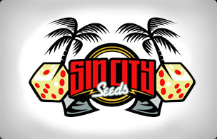 SinCity Seeds