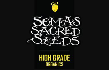 Soma Seeds