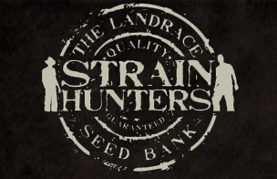 Strain Hunters