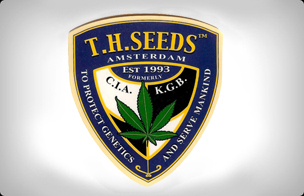 TH Seeds