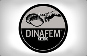 DinaFem