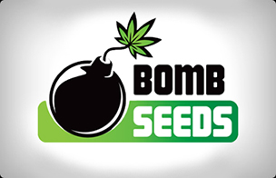 Bomb Seeds Autoflowering