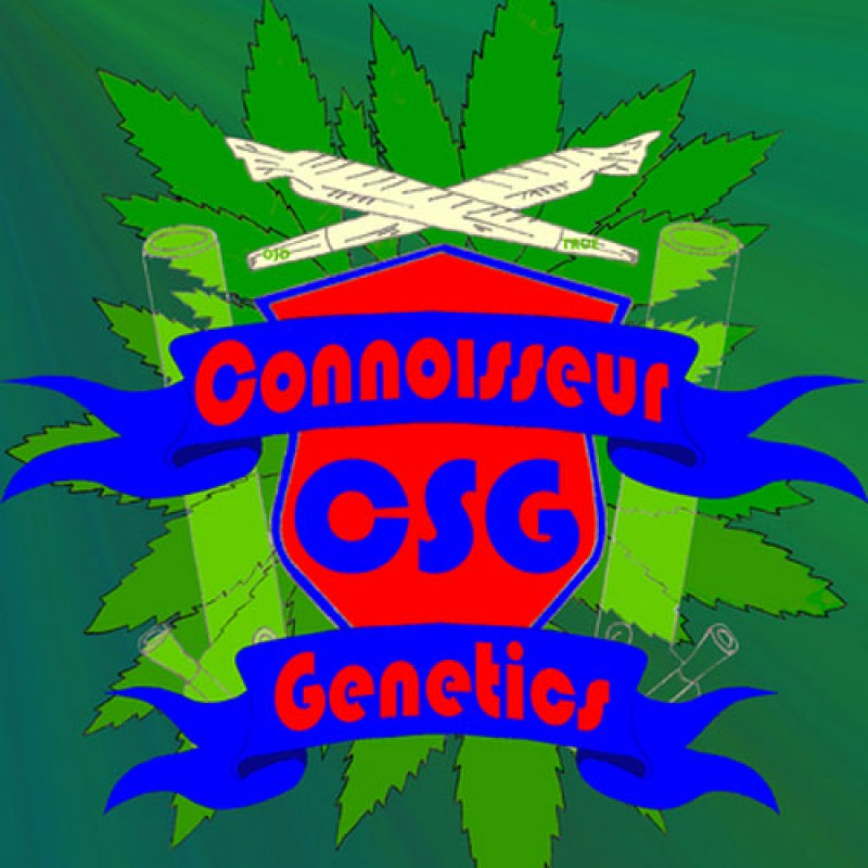 Connoisseur Genetics Regular