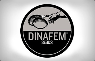 DinaFem Autoflowering Seeds