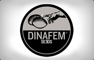 Dinafem CBD