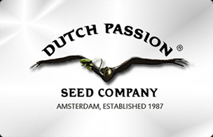 Dutch Passion High CBD Seeds