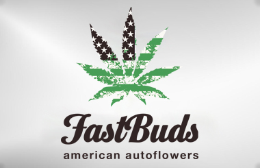 Fast Buds Originals Line