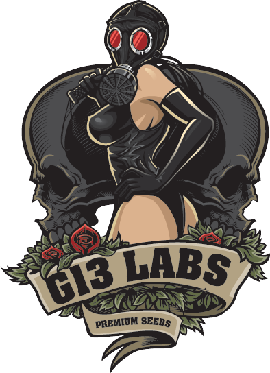 G13 Labs Autoflowering