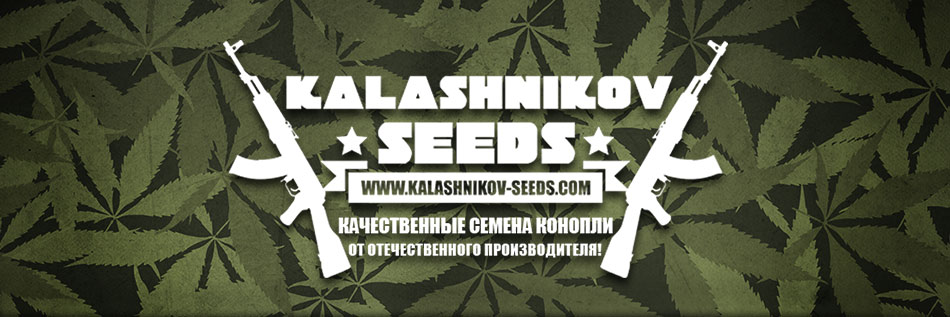 Kalashnikov Seeds Feminized