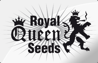 Royal Queen Seeds CBD