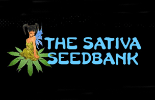 Sativa Seedbank Feminized