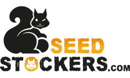 Seed Stockers Autoflowering