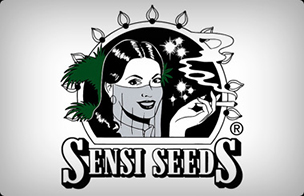 Sensi Feminized