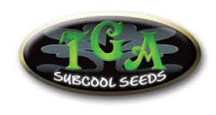 TGA Subcool Seeds Regular