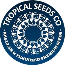 Tropical Seeds Feminized