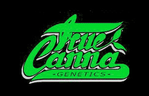 True Canna Genetics