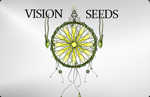 Vision Seeds Autoflowering