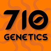 710 Genetics Feminized
