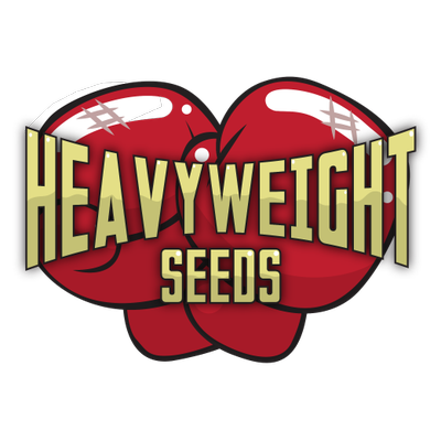 Heavyweight Seeds Autoflowering