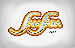 Samsara Seeds Autoflowering