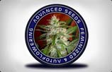 Advanced Seeds AutoFlowering