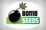 Bomb Seeds AutoFlowering