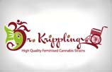 Dr Krippling AutoFlowering