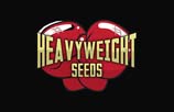 Heavyweight Seeds AutoFlowering