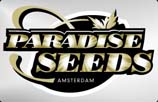 Paradise Seeds AutoFlowering