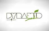 Pyramid Seeds AutoFlowering