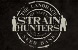 Strain Hunters AutoFlowering